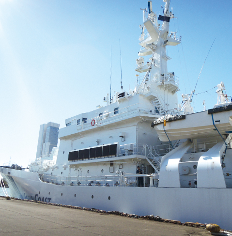 SPECIAL BOAT DAVITS